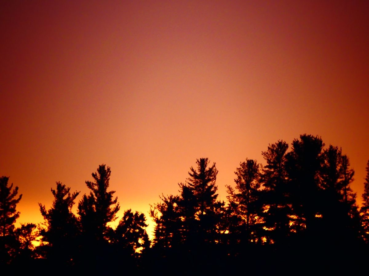 coucher de soleil landes